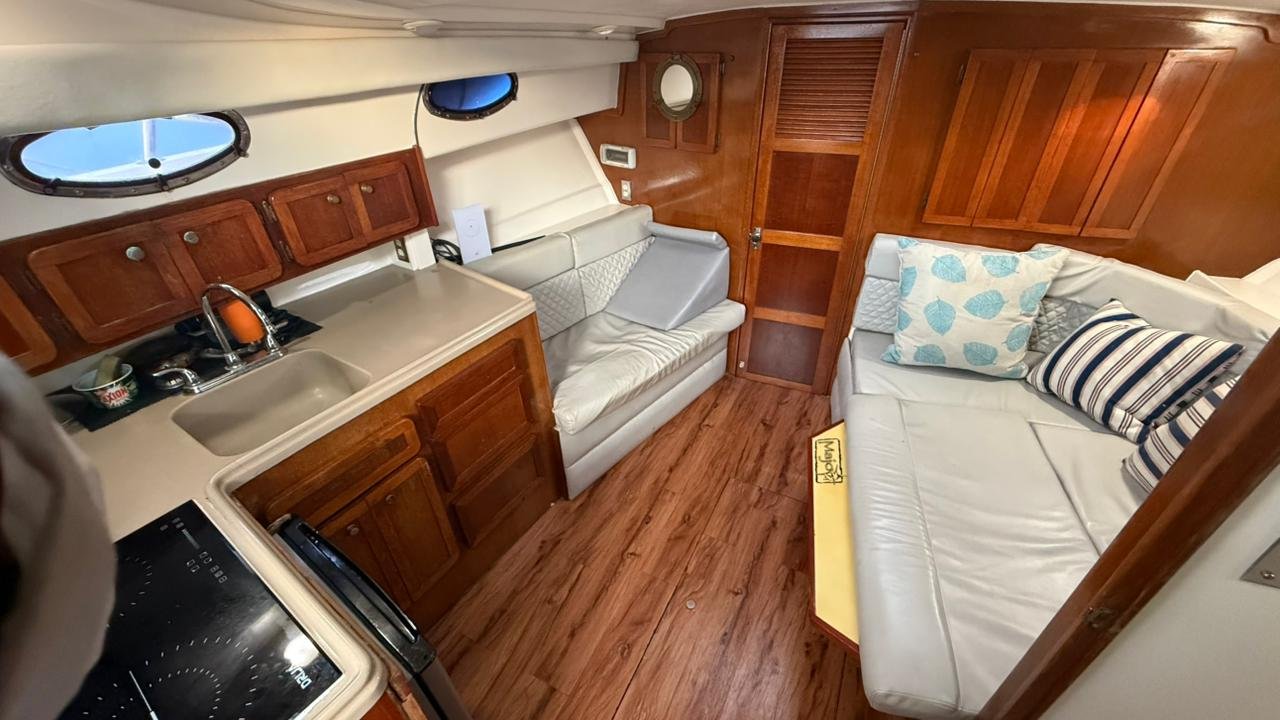 Stamas 39 FT - Farallon Island - Image 12