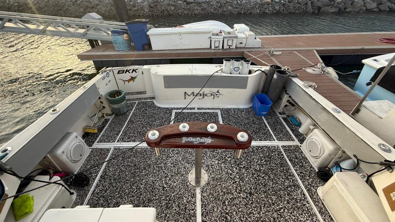 Stamas 39 FT - Farallon Island - Image 4