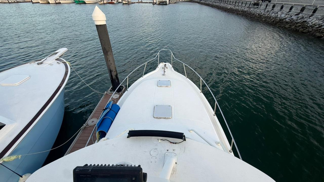 Stamas 39 FT - Farallon Island - Image 20