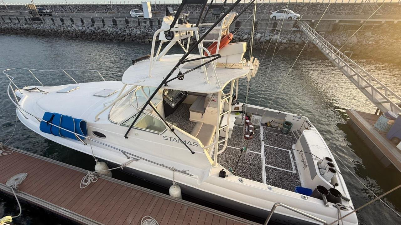 Stamas 39 FT - Farallon Island - Image 19