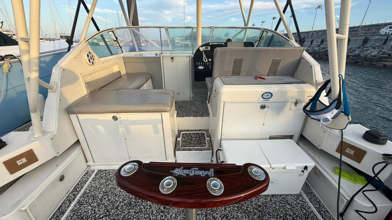 Stamas 39 FT - Farallon Island - Image 15
