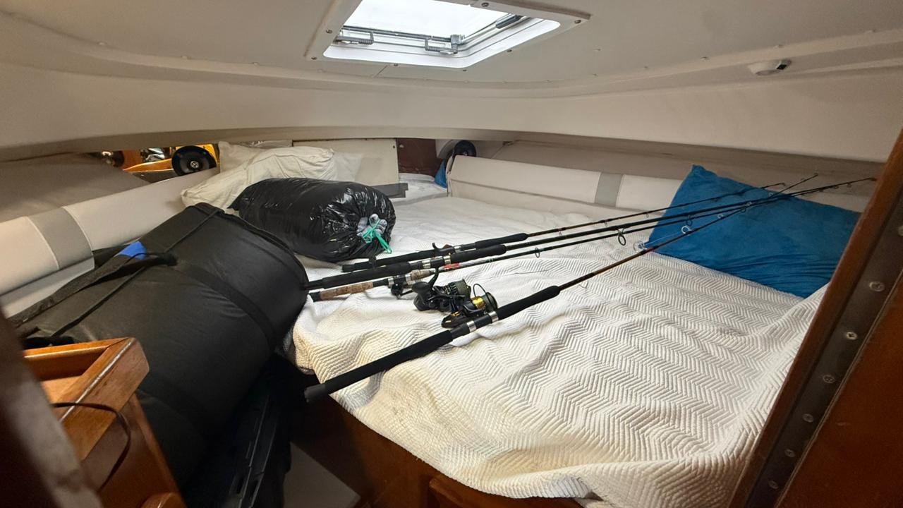 Stamas 39 FT - Farallon Island - Image 13