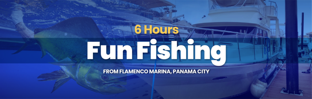 Book your fishing charter in Panama now and experience the thrill of catching prized fish like mahi-mahi in the beautiful waters of Panama Bay. Departing from Flamenco Marina, our charters offer top-notch equipment, experienced crews, and unforgettable fishing adventures. Don't miss out on the opportunity to create lasting memories on the water!