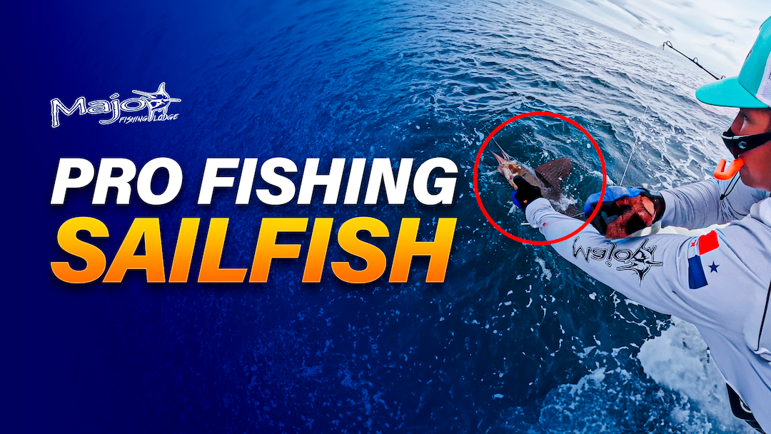 Sailfish - Pro Fishing Panama