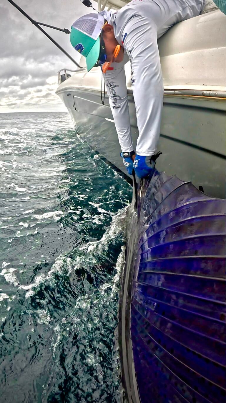 Tripulación de Majo liberando un pez vela junto al barco