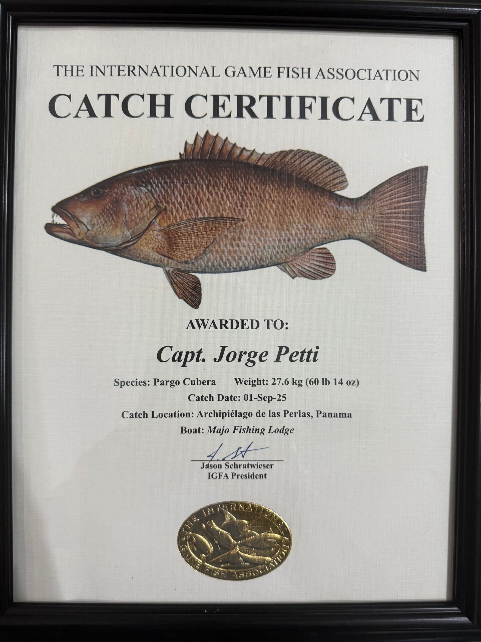 IGFA Catch Certificate awarded to Capt. Jorge Petti for a 60 lb 14 oz cubera snapper, Pearl Islands, Panama