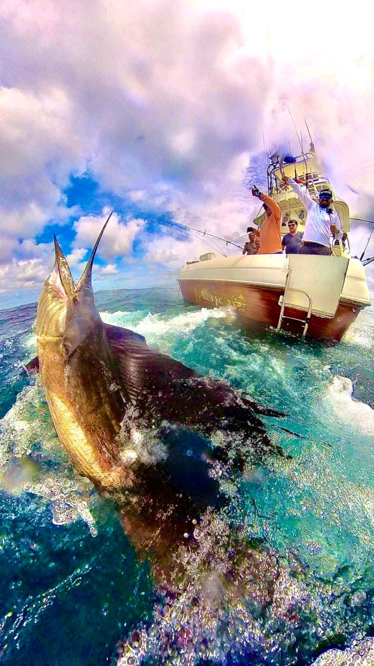 Sailfish jumping beside the Majo fishing boat off Panama's Pacific coast