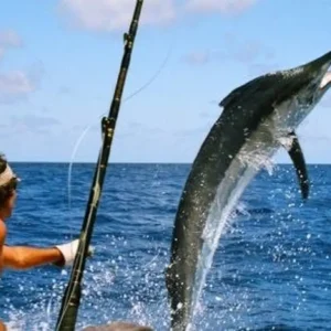 Pinas Bay Panama