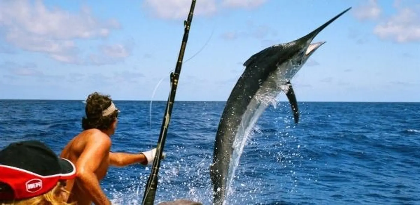 Marlin — world-class fishing in Panama
