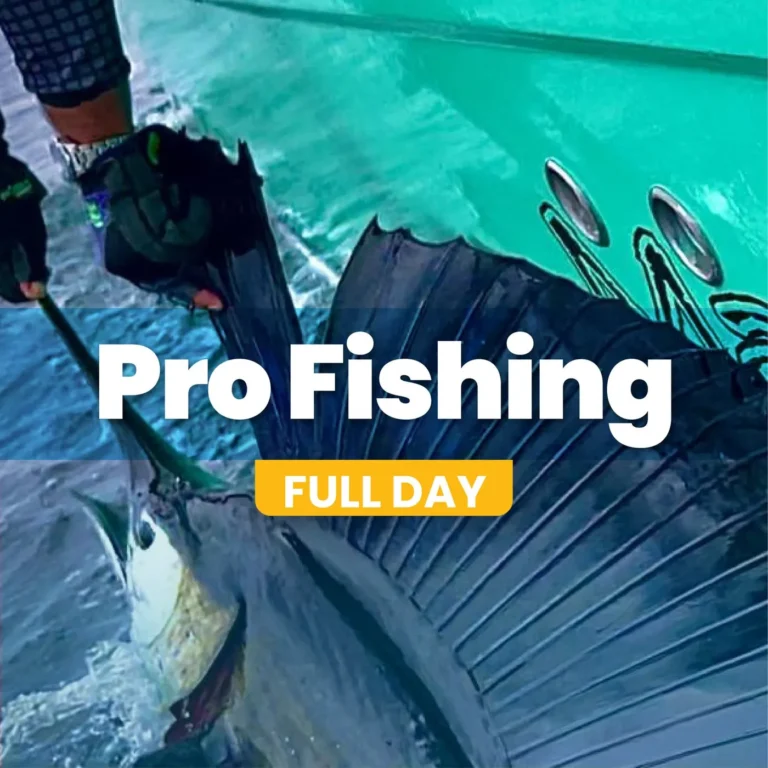 Pro Fishing día completo — charter de Jorge
