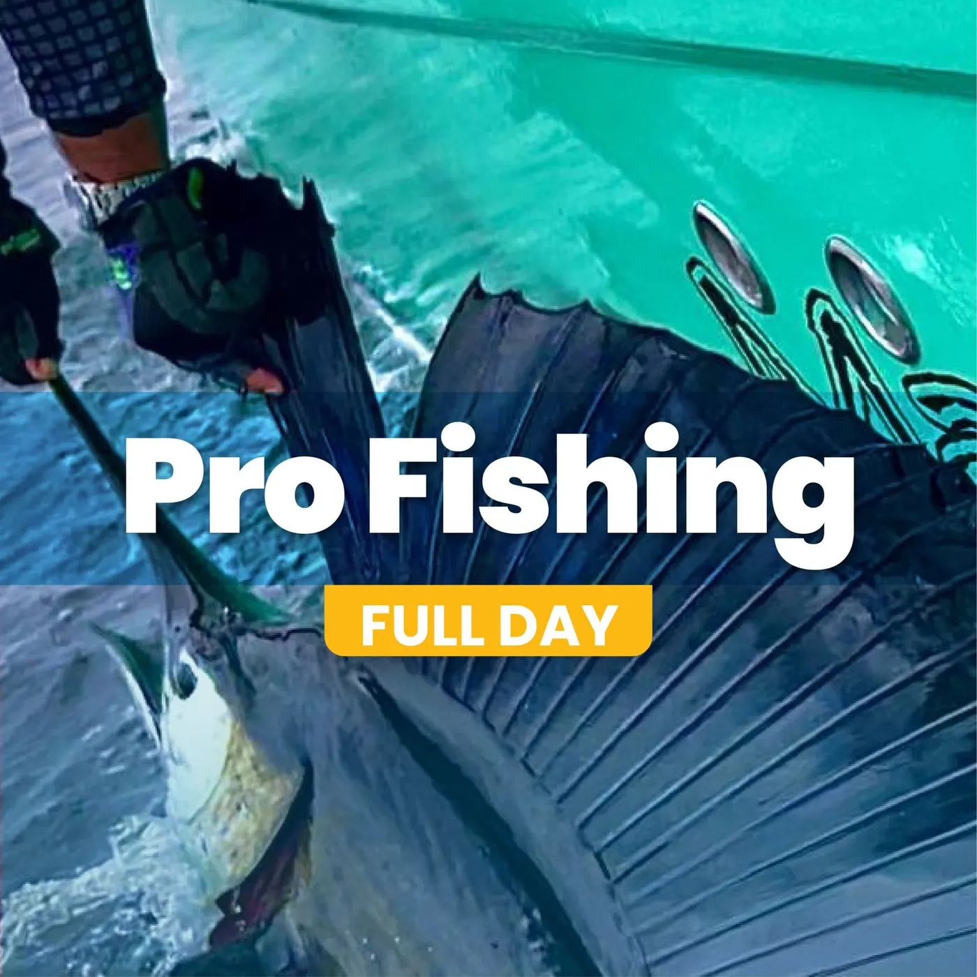 Pro Fishing Full Day — Jorge's charter card