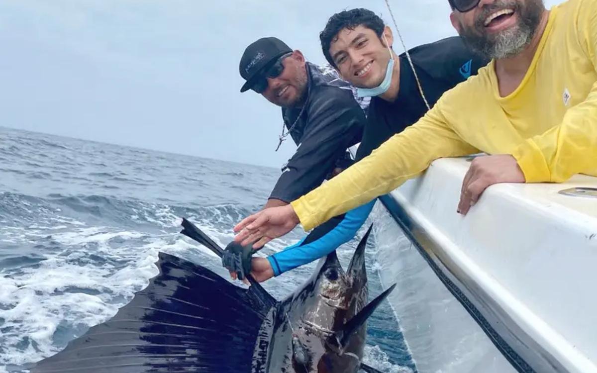 Sailfish caught on a private fishing charter near Río Hato, Panama – Majo Fishing Lodge