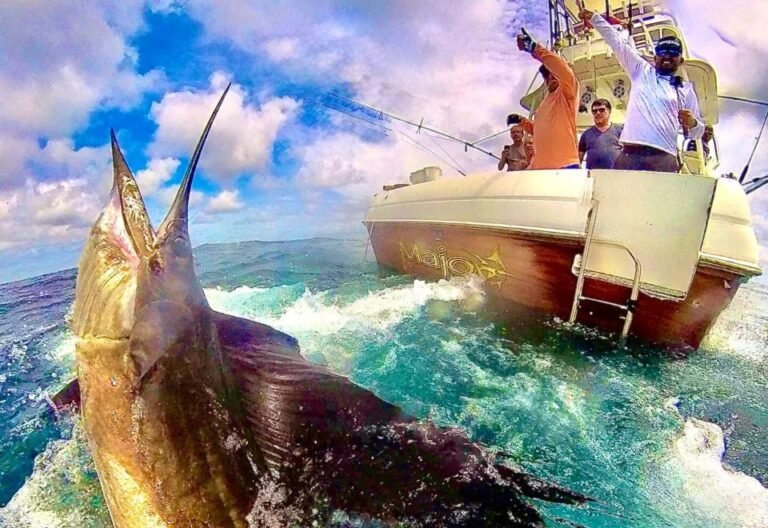Pez vela saltando junto al barco de Majo en el Pacífico de Panamá